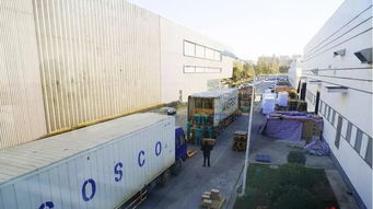 从上海软件开发看速冻食品企业的国际化发展轨迹