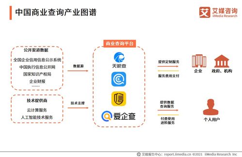 2021年中国商业查询行业发展全景解析 产业图谱、服务场景、用户规模与上海软件开发聚焦