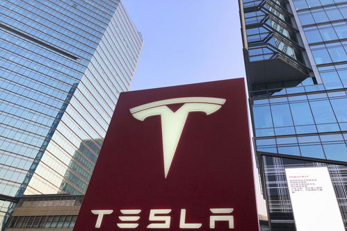 晚报 罗永浩剑指带货一哥，苹果上架2018款官翻机，上海软件开发新风向